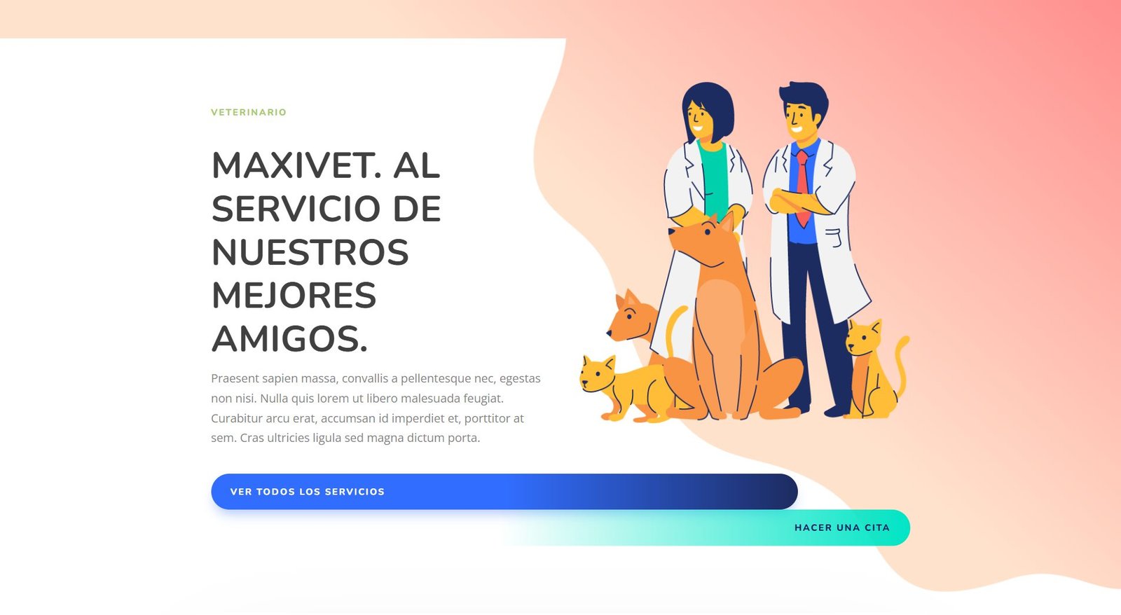 Preview MaxiVet